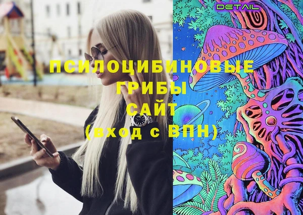 стафф Алексин