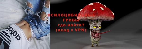 стафф Алексин