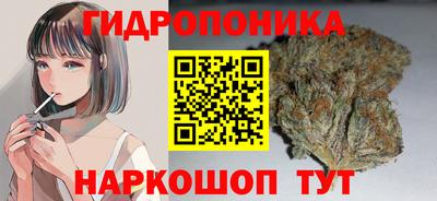 PSILOCYBIN Заволжье