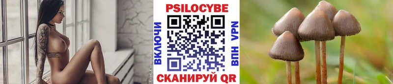 hydra ссылка  Углич  Псилоцибиновые грибы Magic Shrooms 