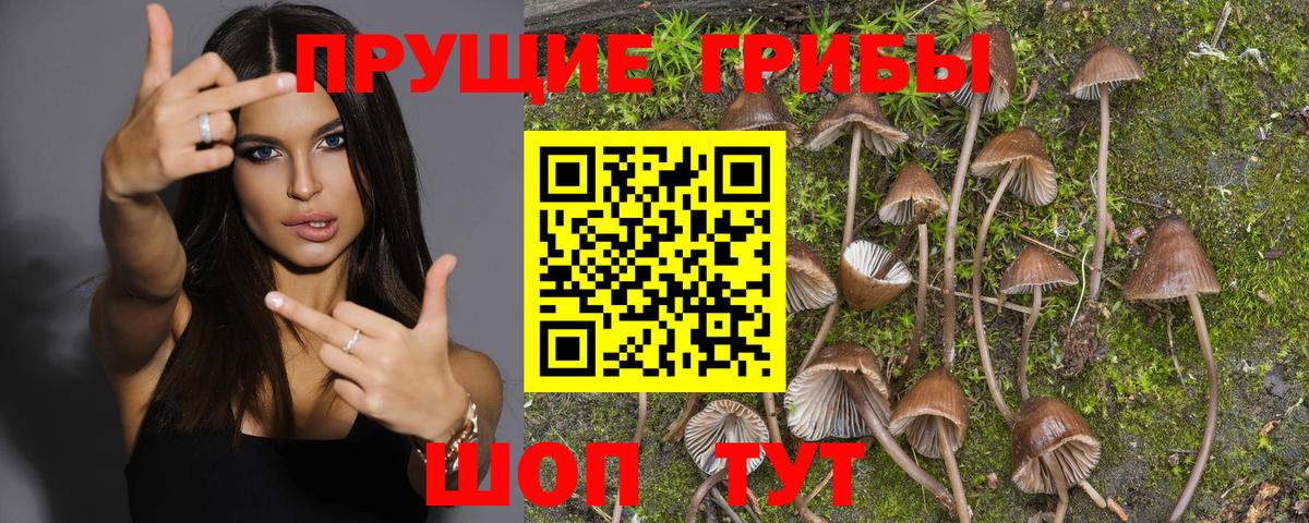 Псилоцибиновые грибы ЛСД  Вход с VPN  Углич 